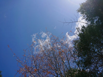 f:id:roukenhome-ann:20190410082645j:plain