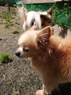 f:id:roukenhome-ann:20190410082726j:plain