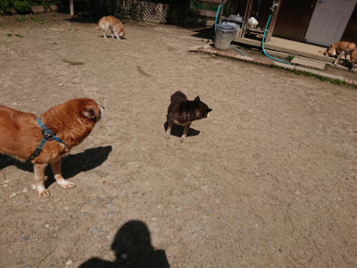 f:id:roukenhome-ann:20190410082731j:plain