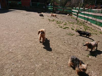 f:id:roukenhome-ann:20190410082747j:plain