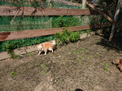 f:id:roukenhome-ann:20190410082752j:plain