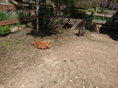 f:id:roukenhome-ann:20190410082816j:plain