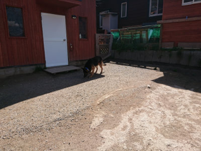f:id:roukenhome-ann:20190410082827j:plain