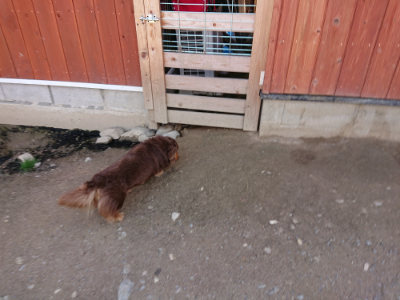 f:id:roukenhome-ann:20190410082832j:plain