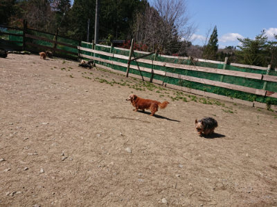 f:id:roukenhome-ann:20190410082842j:plain