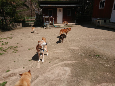 f:id:roukenhome-ann:20190410082858j:plain