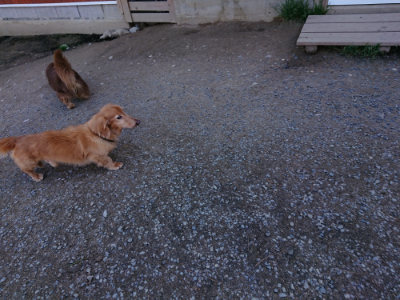 f:id:roukenhome-ann:20190410083440j:plain