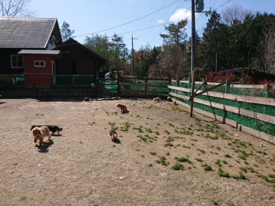 f:id:roukenhome-ann:20190410083458j:plain