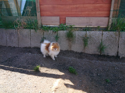 f:id:roukenhome-ann:20190410083510j:plain