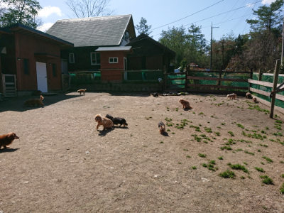 f:id:roukenhome-ann:20190410083520j:plain