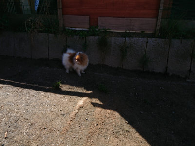 f:id:roukenhome-ann:20190410083535j:plain
