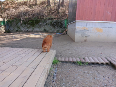 f:id:roukenhome-ann:20190410083549j:plain