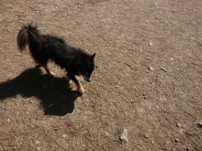 f:id:roukenhome-ann:20190410083554j:plain