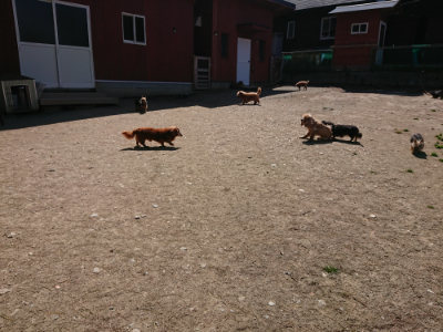 f:id:roukenhome-ann:20190410083559j:plain