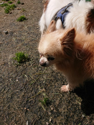 f:id:roukenhome-ann:20190410083712j:plain