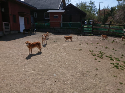f:id:roukenhome-ann:20190410083717j:plain