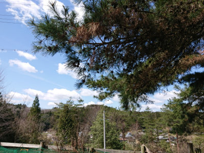 f:id:roukenhome-ann:20190410083727j:plain