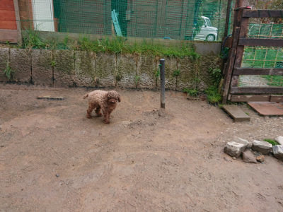 f:id:roukenhome-ann:20190411180802j:plain