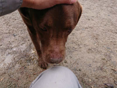 f:id:roukenhome-ann:20190411180936j:plain