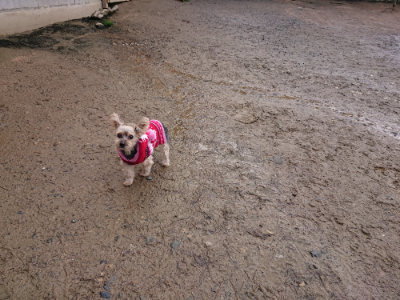 f:id:roukenhome-ann:20190411180948j:plain