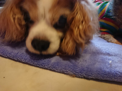 f:id:roukenhome-ann:20190411181053j:plain