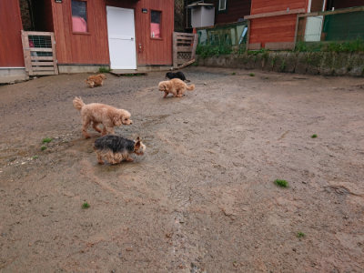 f:id:roukenhome-ann:20190411181645j:plain