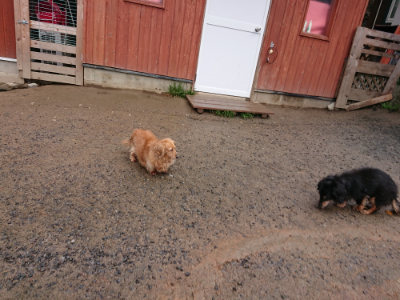 f:id:roukenhome-ann:20190411181939j:plain
