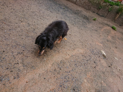 f:id:roukenhome-ann:20190411181949j:plain