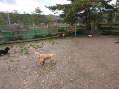 f:id:roukenhome-ann:20190411182221j:plain