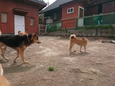 f:id:roukenhome-ann:20190412175227j:plain