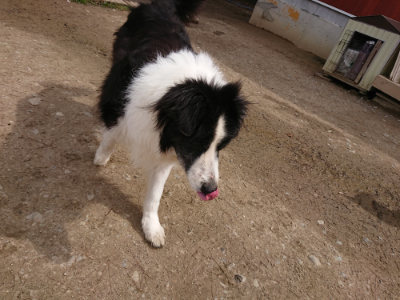 f:id:roukenhome-ann:20190412175233j:plain