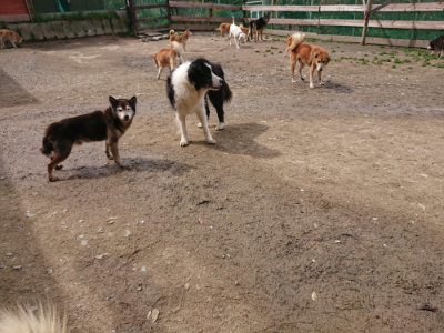 f:id:roukenhome-ann:20190412175448j:plain