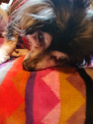 f:id:roukenhome-ann:20190412175453j:plain