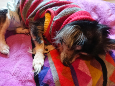 f:id:roukenhome-ann:20190412175503j:plain