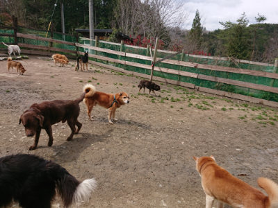f:id:roukenhome-ann:20190412175515j:plain
