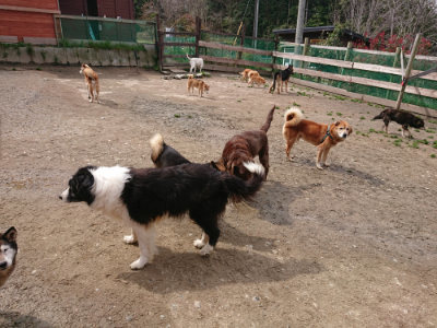 f:id:roukenhome-ann:20190412175539j:plain