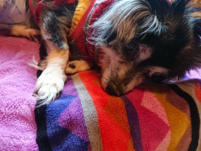 f:id:roukenhome-ann:20190412175635j:plain