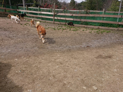 f:id:roukenhome-ann:20190412175710j:plain