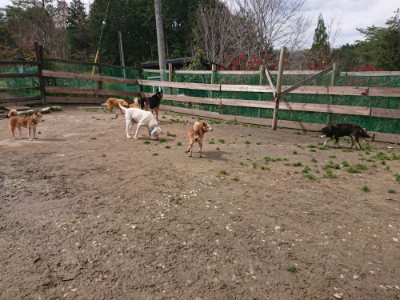 f:id:roukenhome-ann:20190412175715j:plain