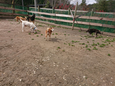 f:id:roukenhome-ann:20190412175722j:plain