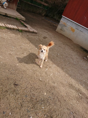 f:id:roukenhome-ann:20190412180038j:plain