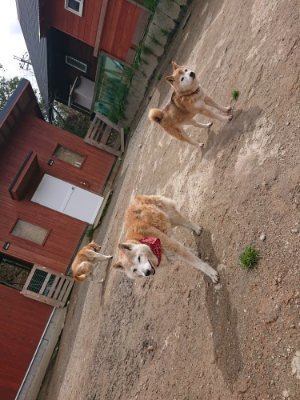 f:id:roukenhome-ann:20190412180056j:plain