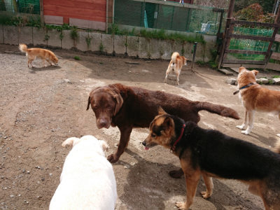 f:id:roukenhome-ann:20190412180328j:plain