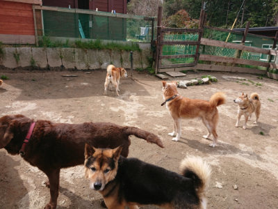 f:id:roukenhome-ann:20190412180340j:plain