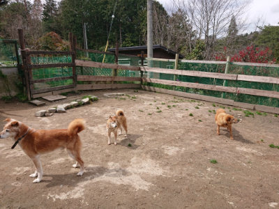 f:id:roukenhome-ann:20190412180346j:plain