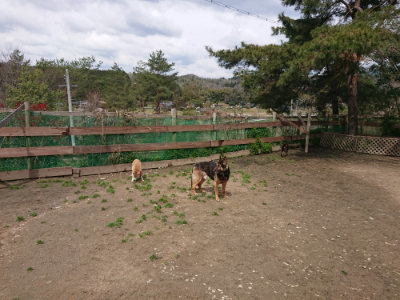 f:id:roukenhome-ann:20190412180352j:plain