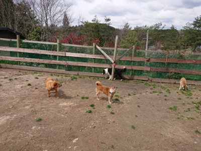 f:id:roukenhome-ann:20190412180407j:plain