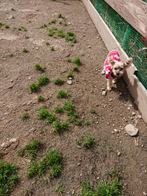 f:id:roukenhome-ann:20190412180425j:plain