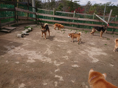 f:id:roukenhome-ann:20190412180558j:plain