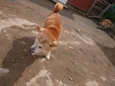f:id:roukenhome-ann:20190412180617j:plain